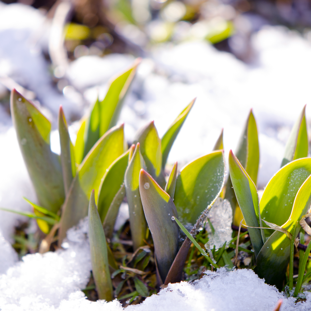 seasonal maintenance in a new home