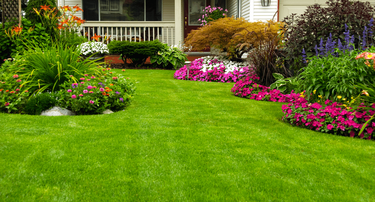 Landscaping Guidelines Demystified image