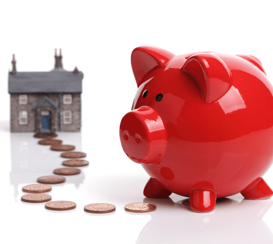 Tips For Buying Your Next Home Pig Image