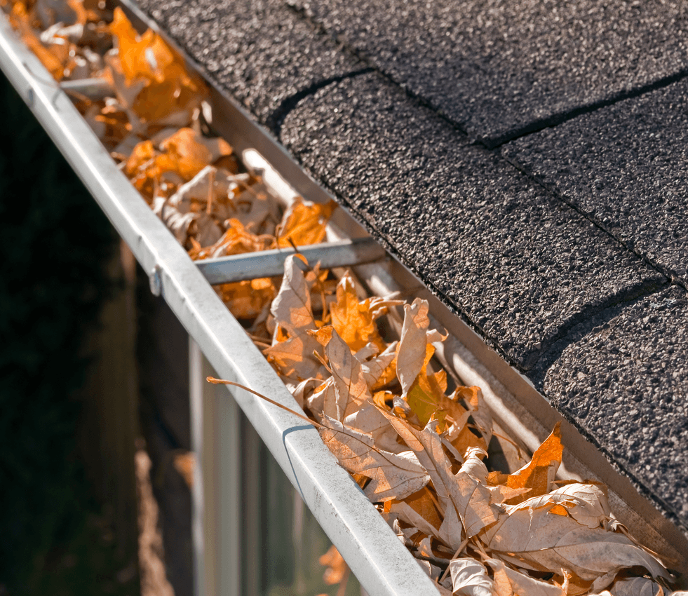 Inside and Out: A Basic Fall To-Do List for Your Home Gutter Image